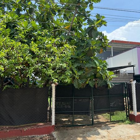The Lazy Palm Shack Hotel Coimbatore Ngoại thất bức ảnh