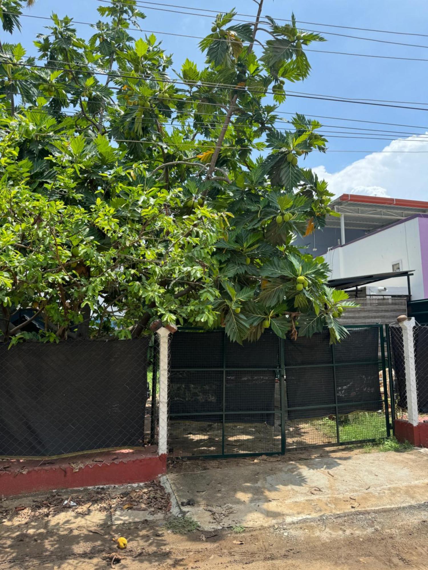 The Lazy Palm Shack Hotel Coimbatore Ngoại thất bức ảnh